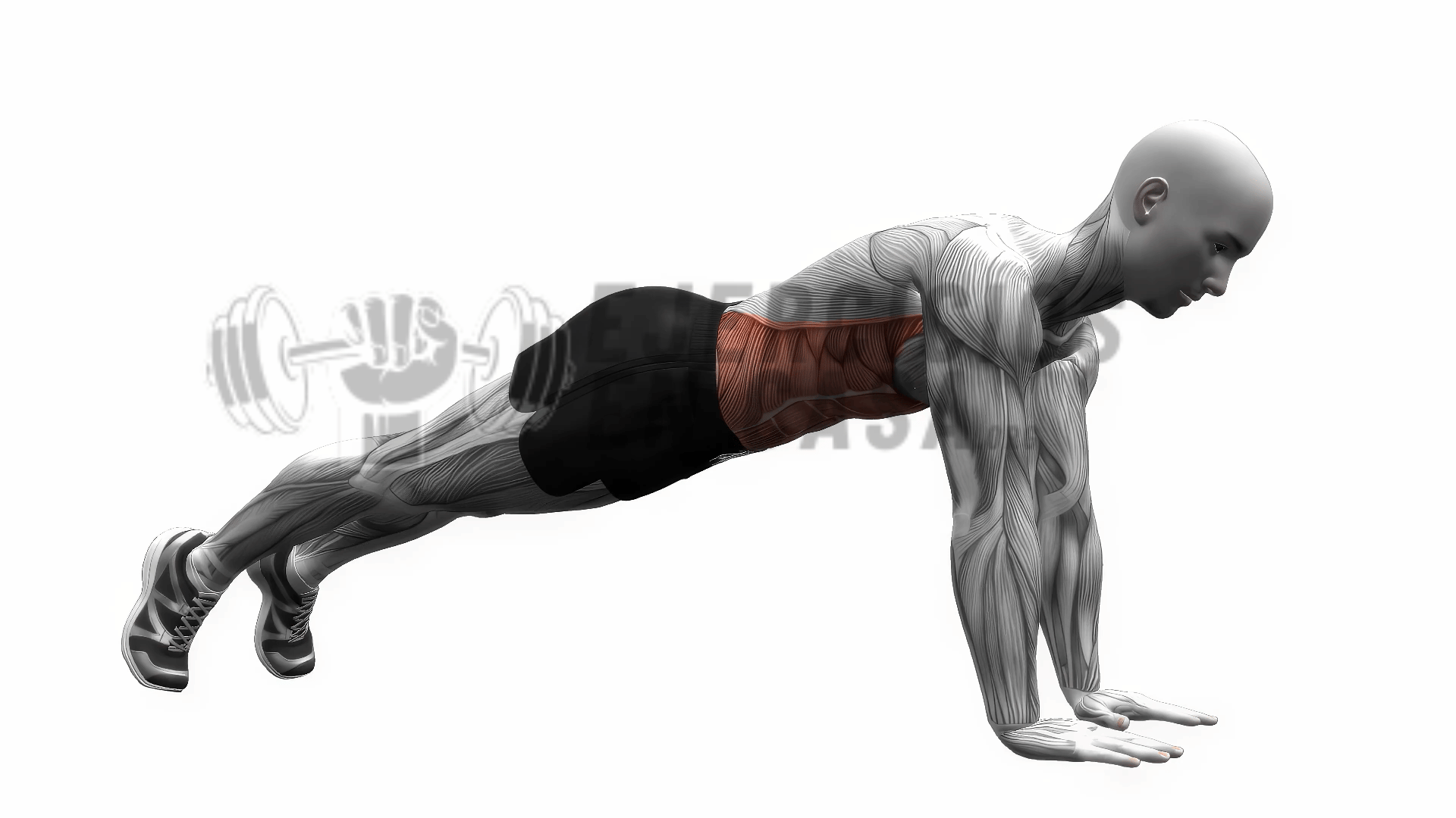 plancha high plank rutinas de entrenamiento ejercicio fitness cardiovascular con peso corporal